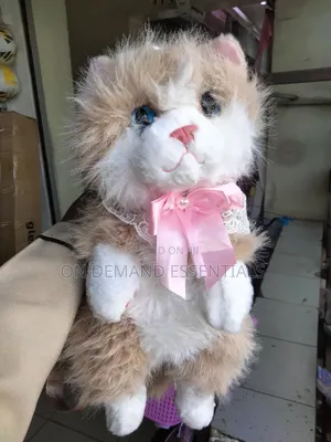 Cat Bags Available