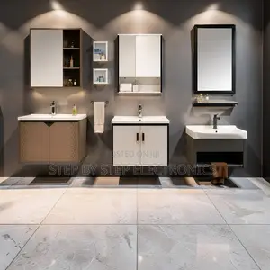 Elegant Wall Mounted Bathroom Vanity Cabinet With Mirror Organizer