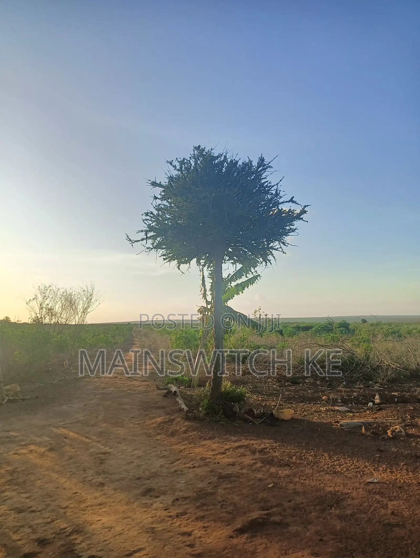 53 Acres Land