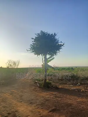 53 Acres Land