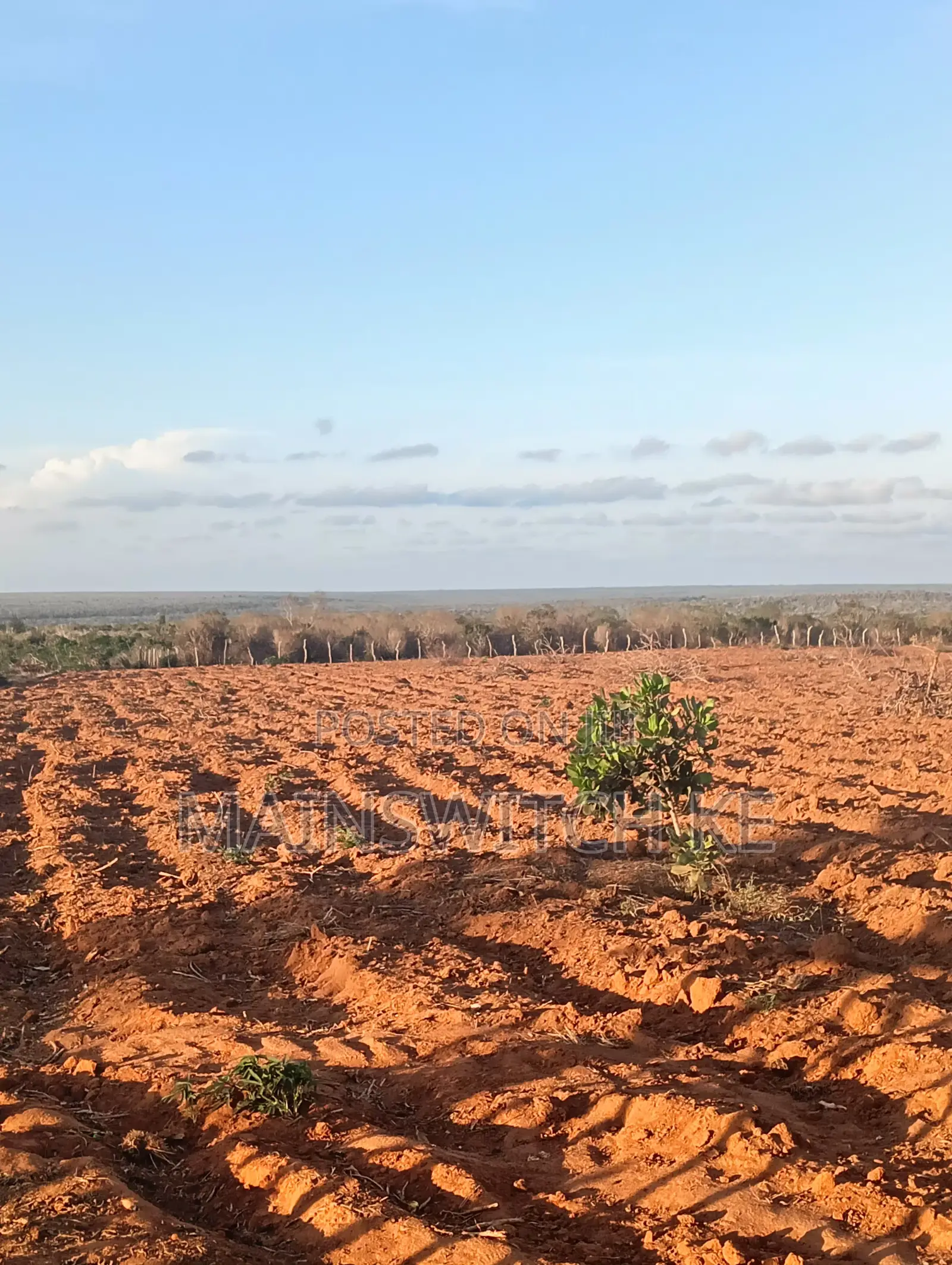 53 Acres Land