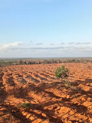 53 Acres Land