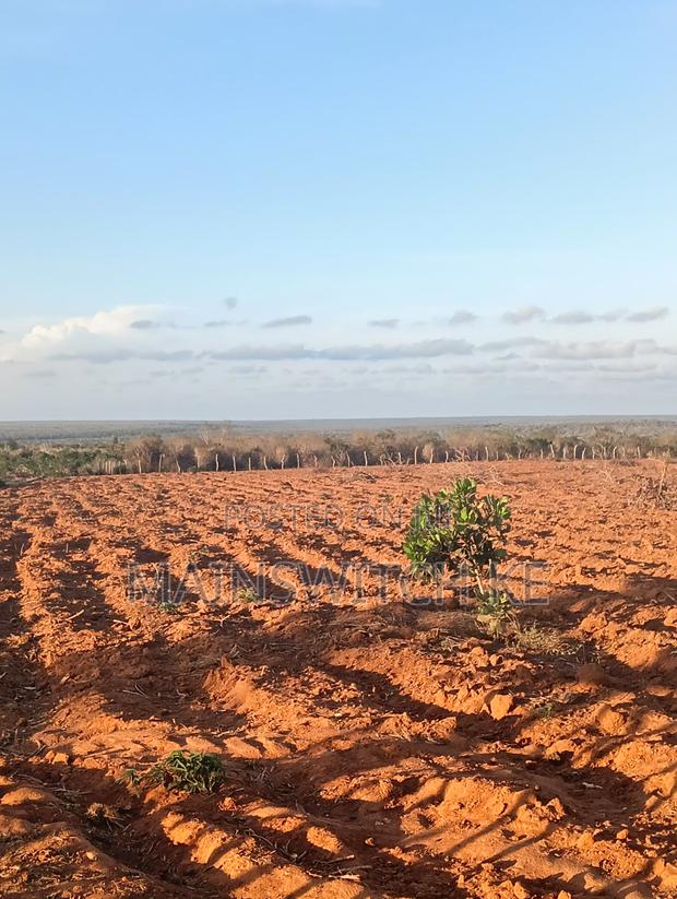 53 Acres Land - thumbnail 2