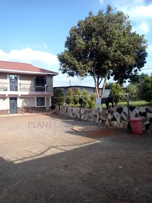 1bdrm Apartment in Serene, Ruaka for rent
