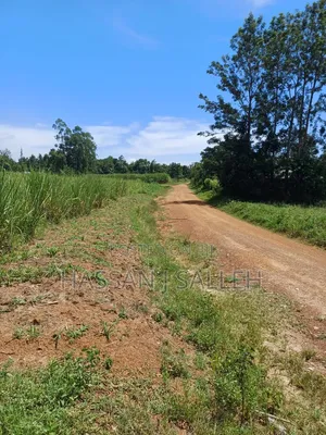 10acres Koyonzo on Sale.