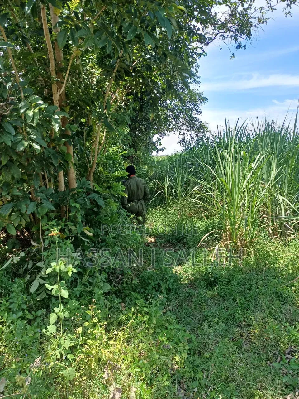 10acres Koyonzo on Sale.