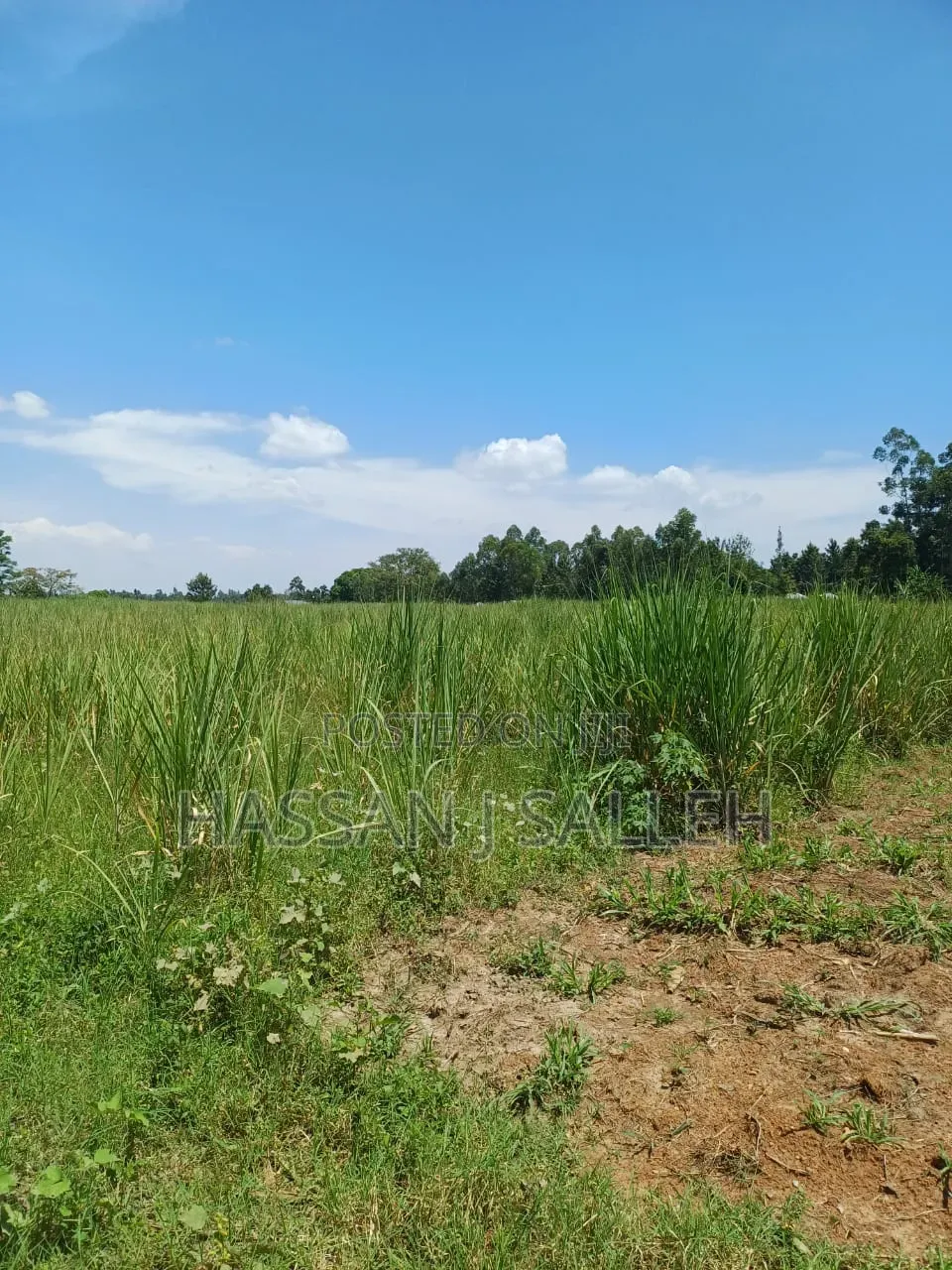 10acres Koyonzo on Sale.