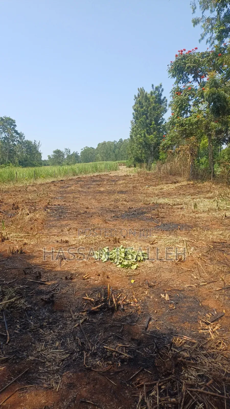 1/2An Acre Matungu.