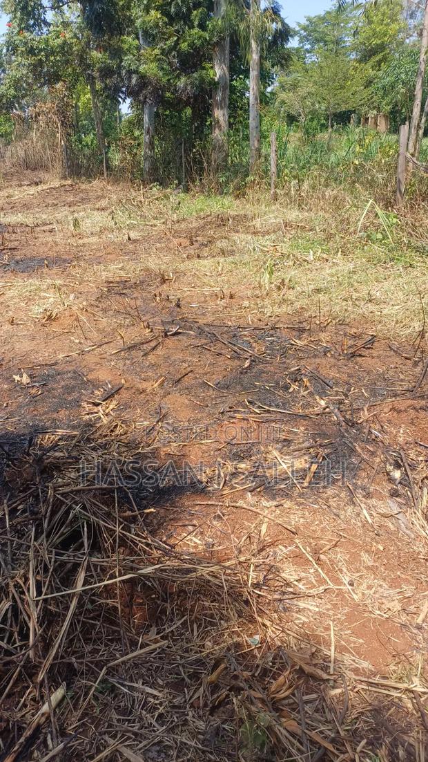 1/2An Acre Matungu. - thumbnail 2