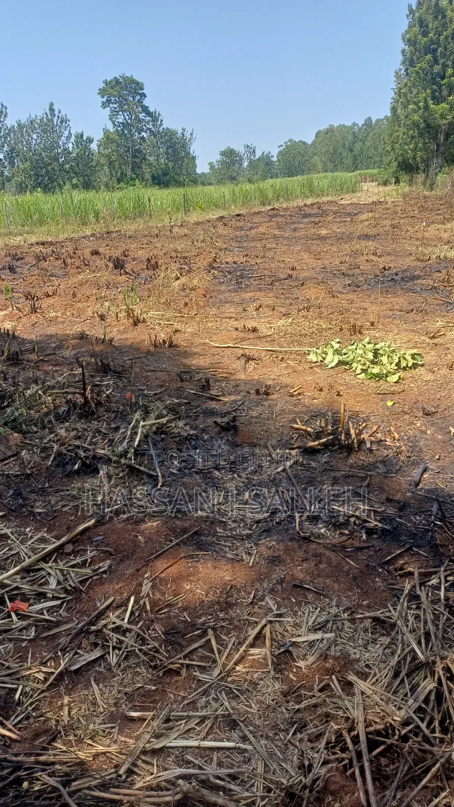 1/2An Acre Matungu.