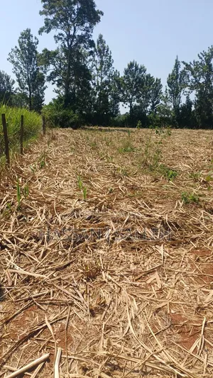 1/2An Acre Matungu.