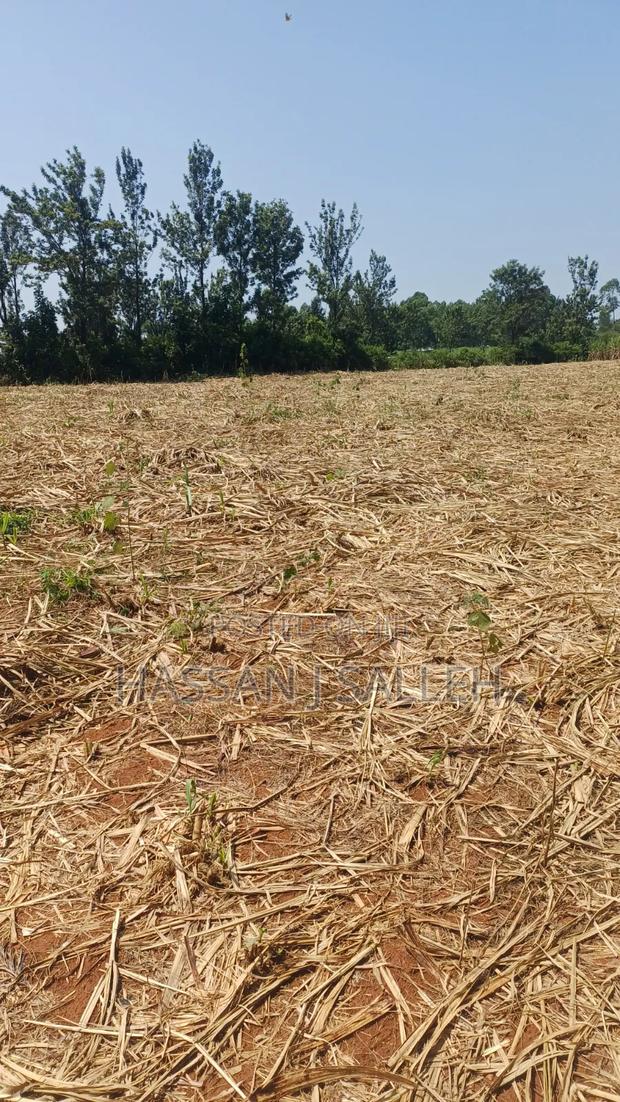 1/2An Acre Matungu. - thumbnail 6