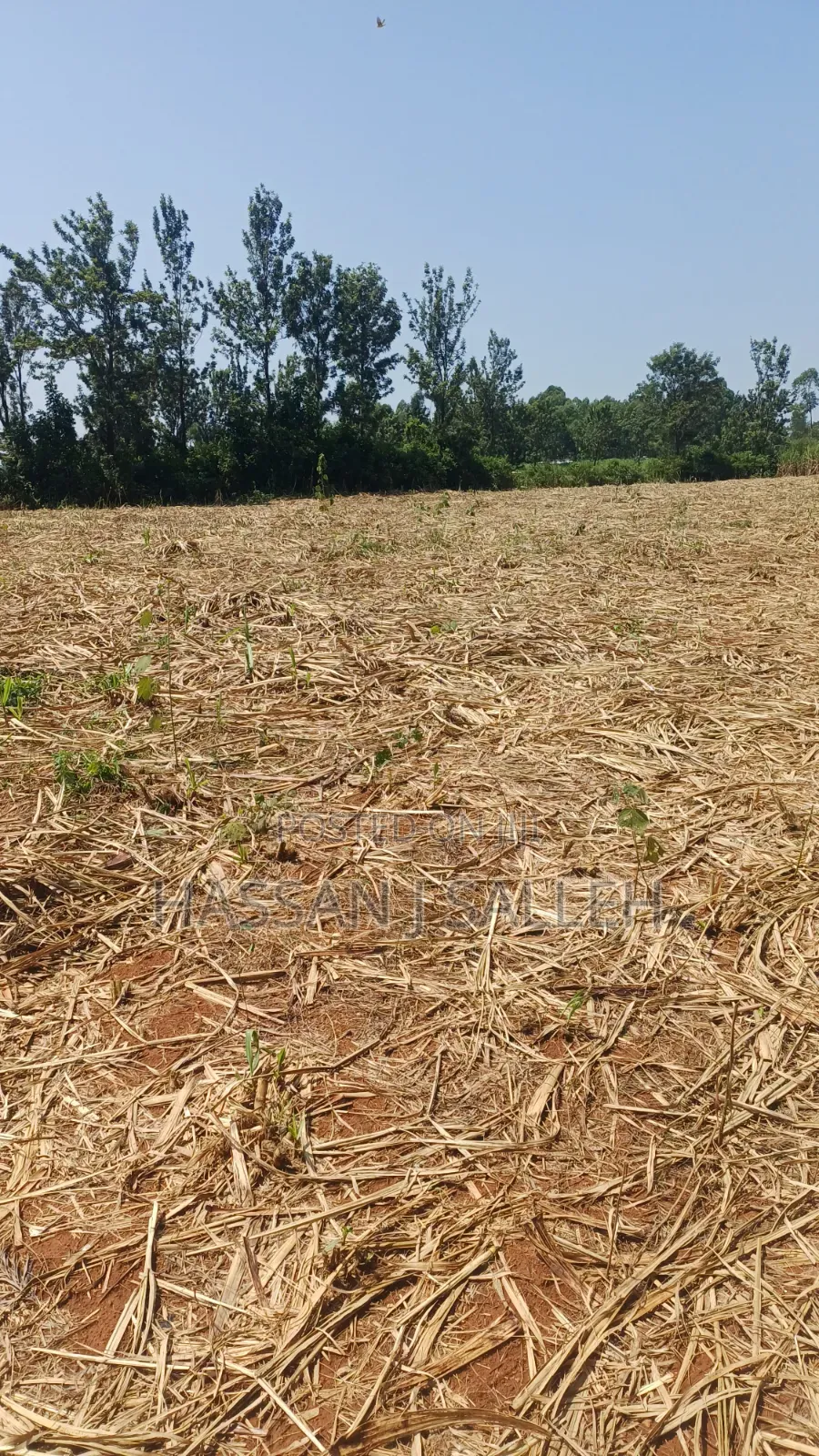 1/2An Acre Matungu.