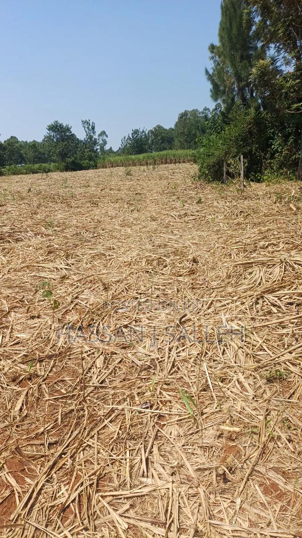 1/2An Acre Matungu. - thumbnail 7