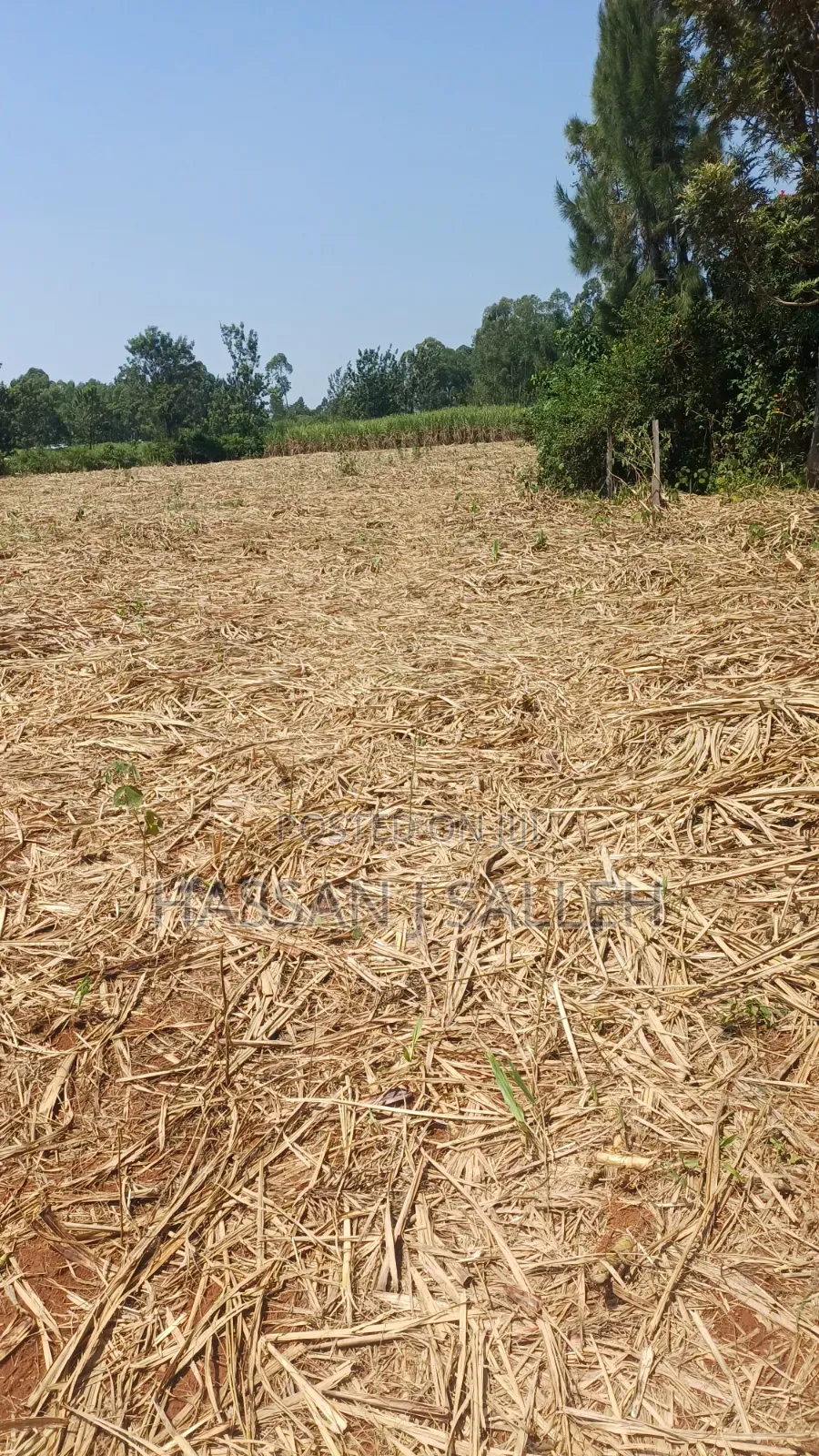 1/2An Acre Matungu.