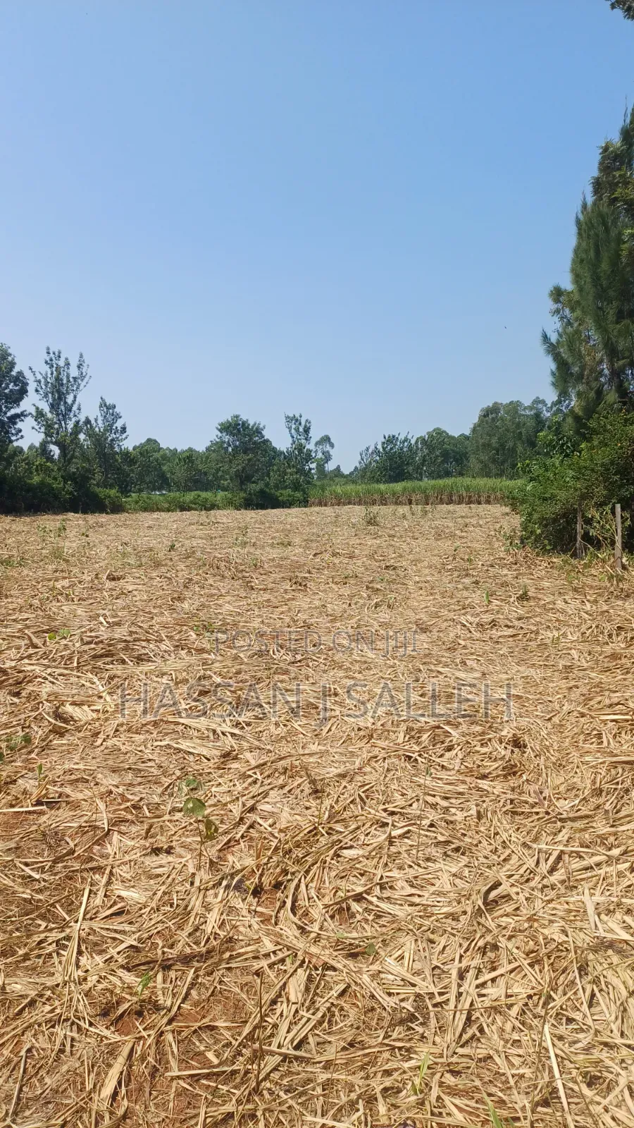 1/2An Acre Matungu.