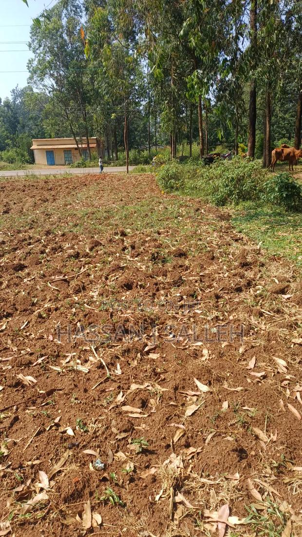 Plot for Sale Matungu - thumbnail 2