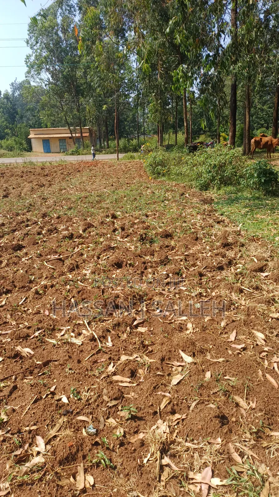 Plot for Sale Matungu
