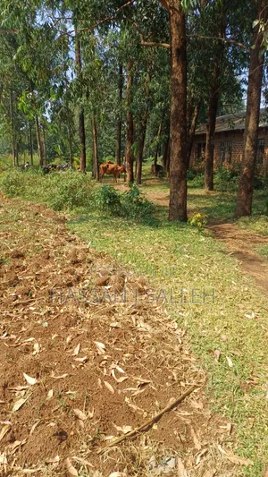 Plot for Sale Matungu