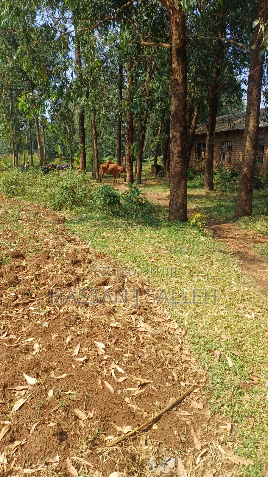 Plot for Sale Matungu