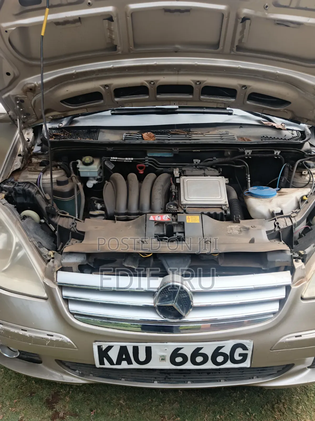 Mercedes-Benz A-Class 2009 Gold