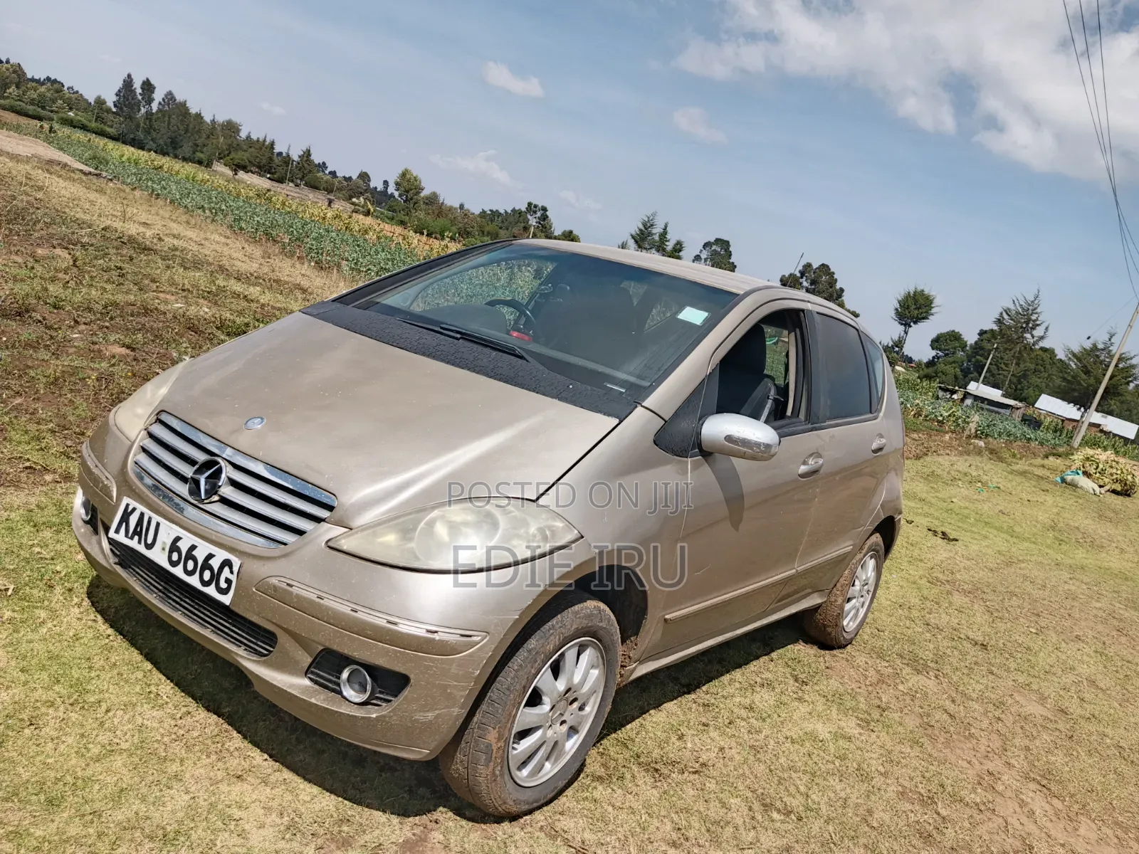 Mercedes-Benz A-Class 2009 Gold