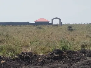 Prime Plots in Sabaki