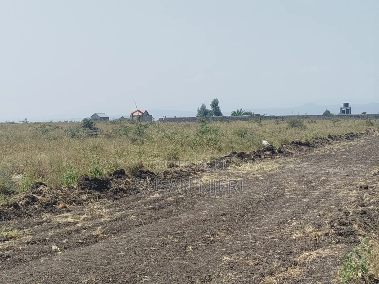Prime Plots in Sabaki