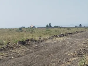 Prime Plots in Sabaki