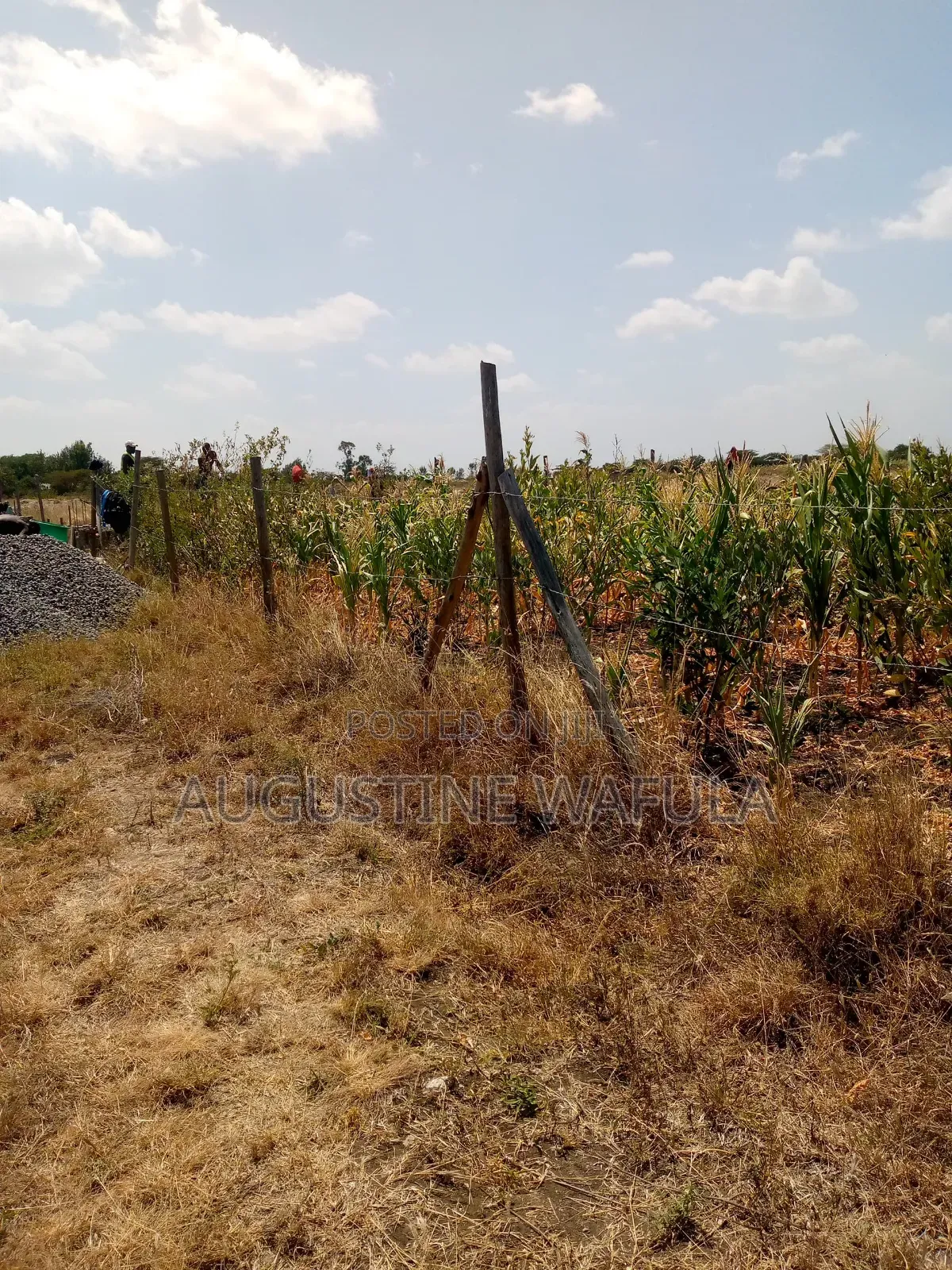 Prime Plots in Athi River