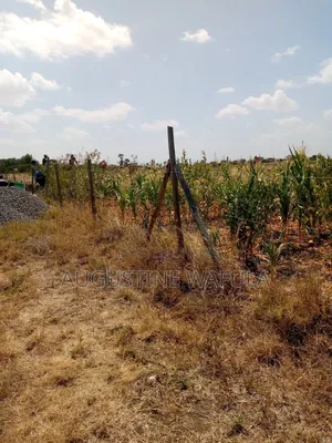 Prime Plots in Athi River