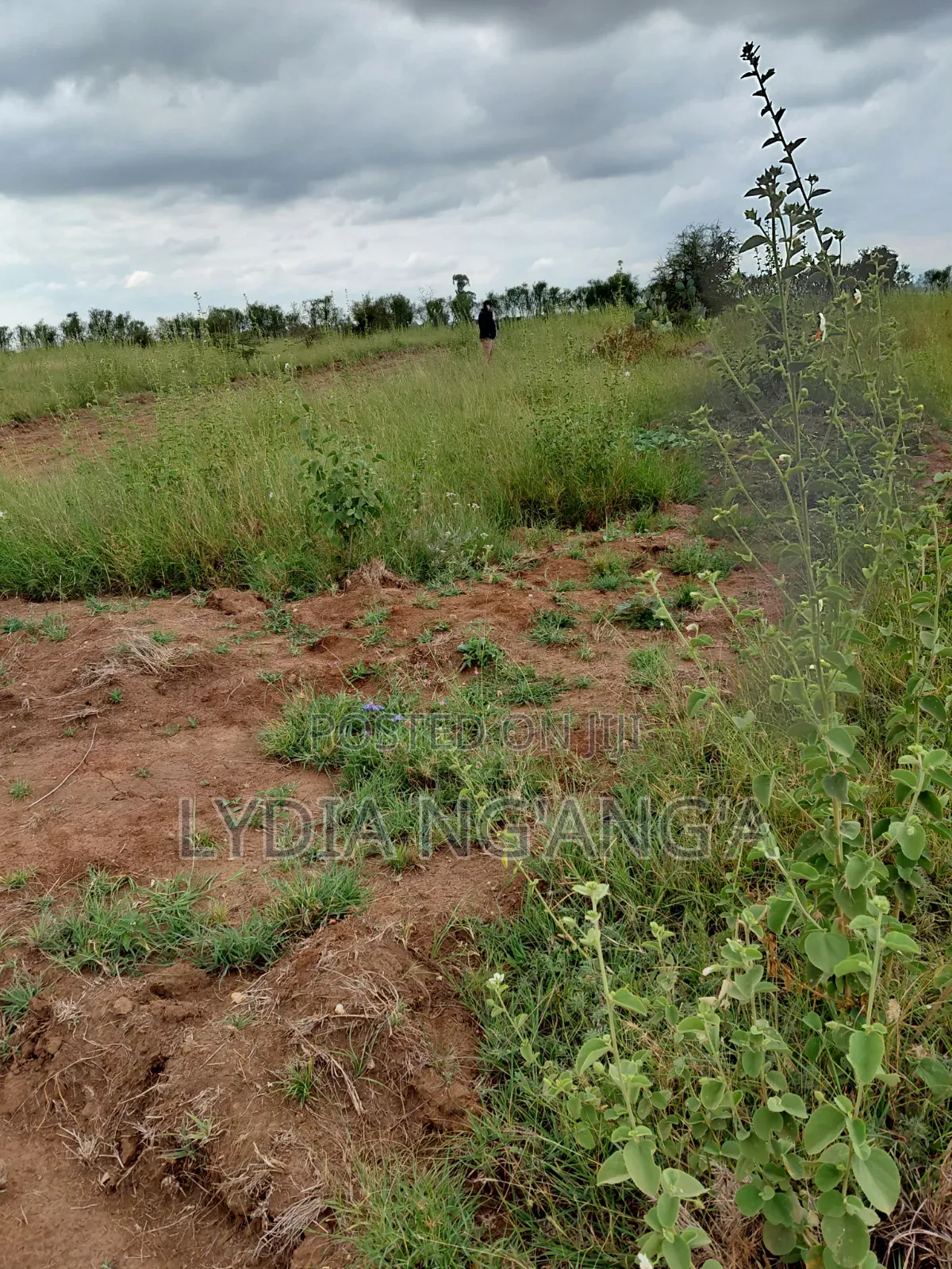 Prime Plots for Sale in Lukenya