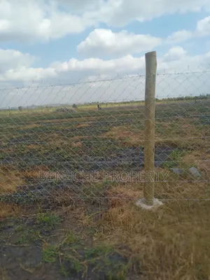 Affordable Plots for Sell