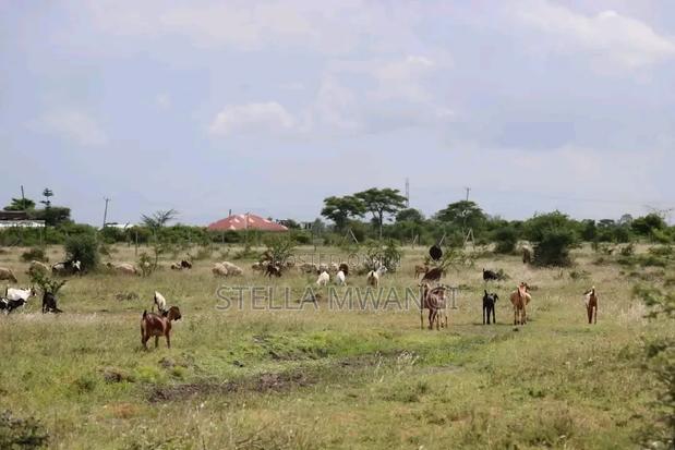 Prime Plots at Juja Farm Kwa Murage - thumbnail 3