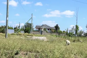 Prime Plots in Joska
