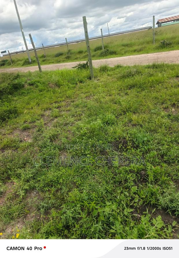 Prime Plot in Sabaki