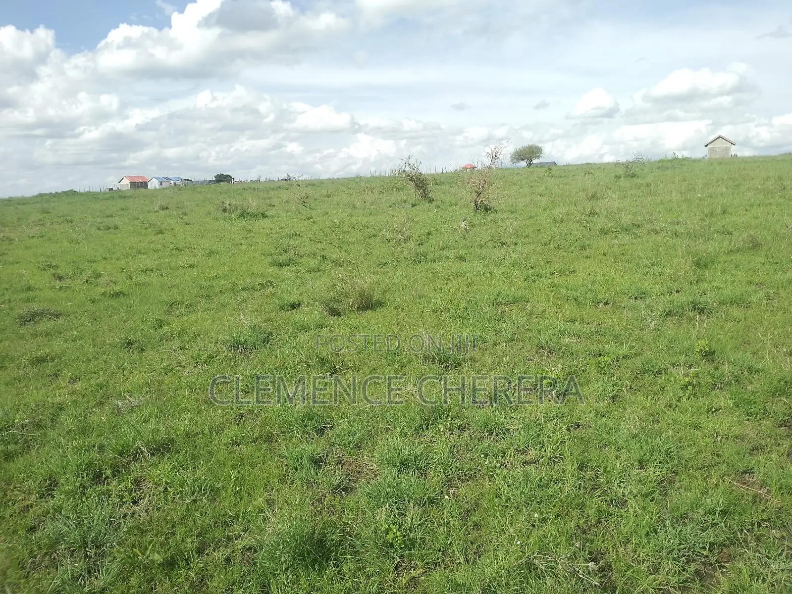 Prime Plot in Sabaki