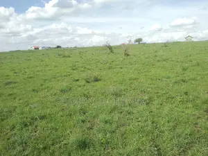 Prime Plot in Sabaki