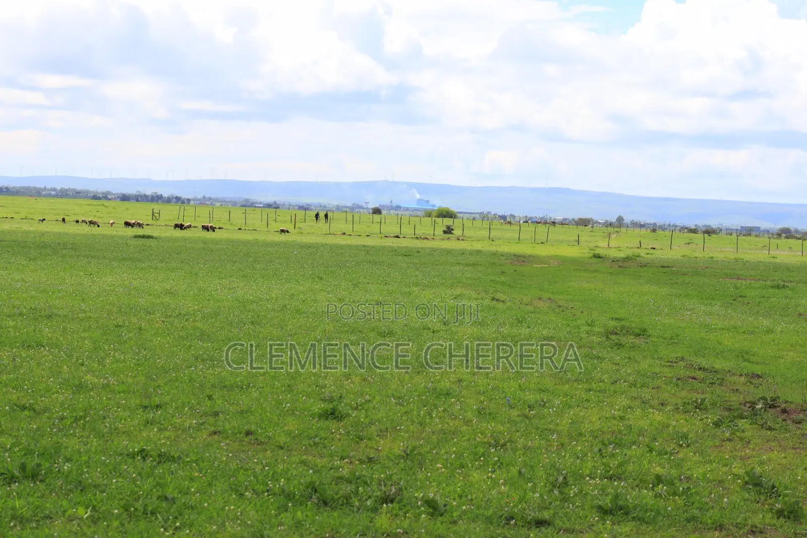 Prime Plot in Sabaki