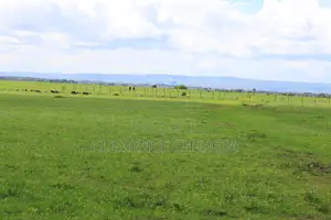 Prime Plot in Sabaki