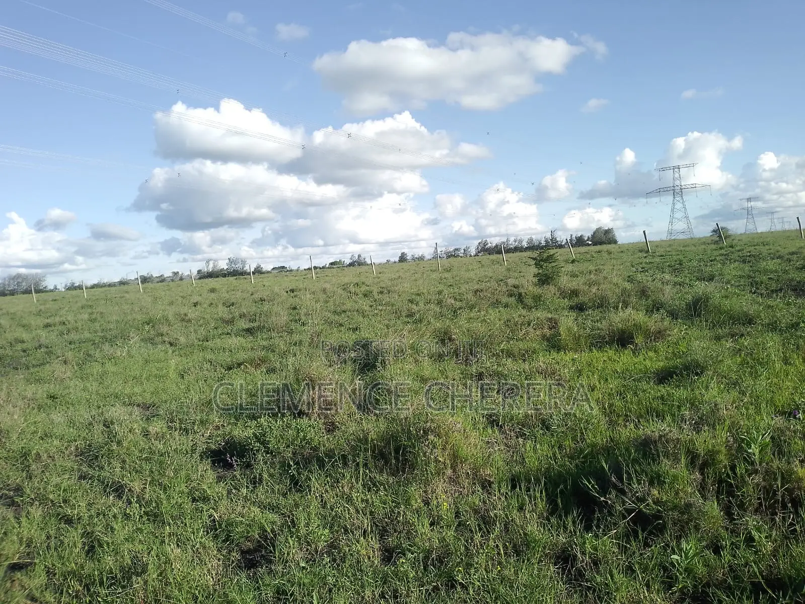 Prime Plot in Sabaki
