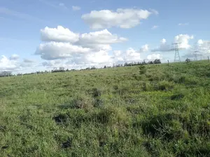 Prime Plot in Sabaki