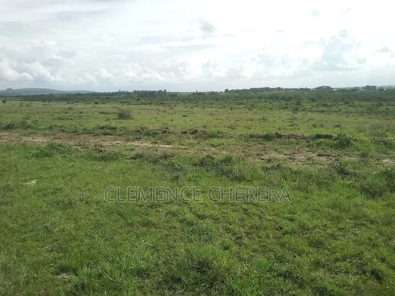 Prime Plot in Sabaki