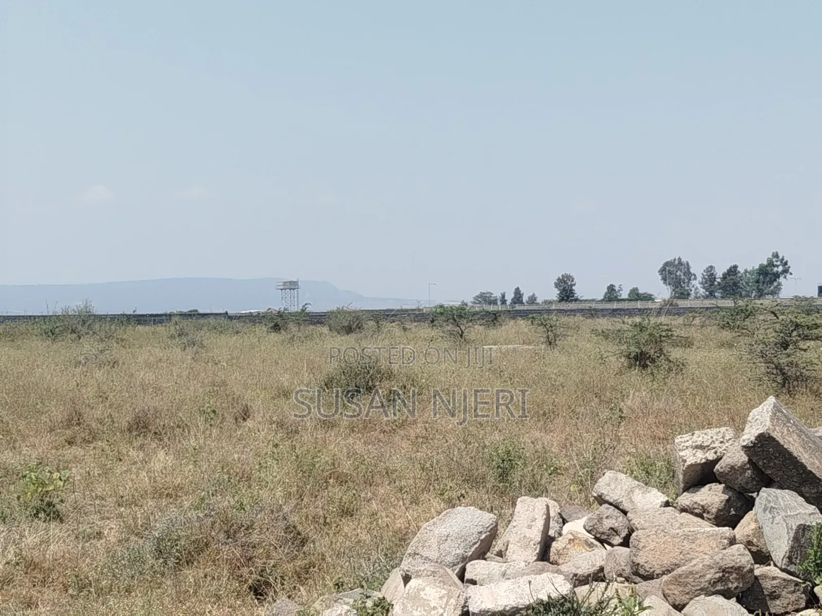 Prime Plots in Sabaki