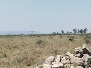 Prime Plots in Sabaki
