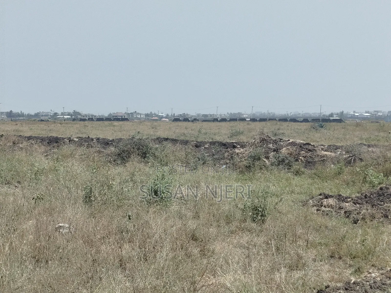Prime Plots in Sabaki