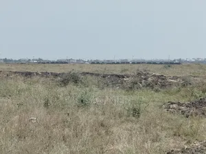 Prime Plots in Sabaki