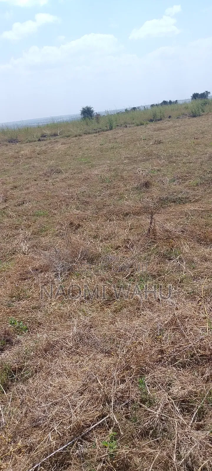 Prime Plots for Sale in Joska