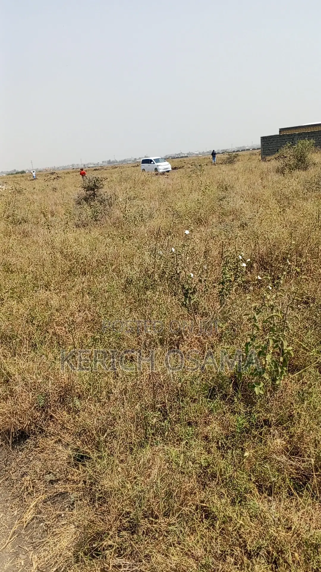 Prime Plots for Sale