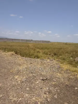 Prime Plots for Sale in Sabaki Mlolongo